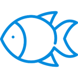 Fish meal
